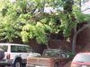 4 Crow Canyon Ct photo